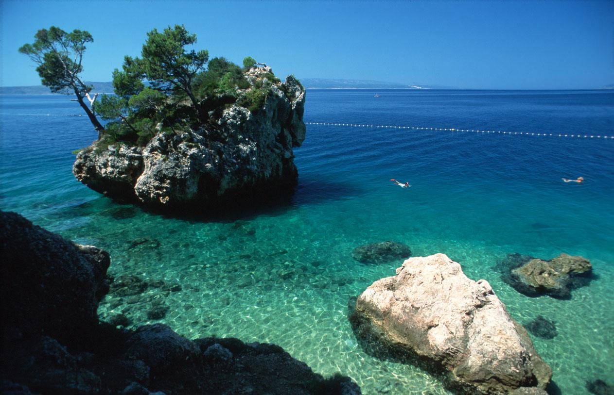 природа камень море деревья Брела Хорватия загрузить